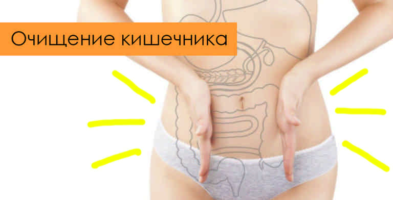 Михайлов В.А. Волнистые попугайчики. Птицы в Михайлов В.А. Волнистые попугайчики. Птицы в