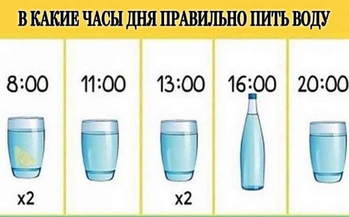 В какое время нужно пить воду