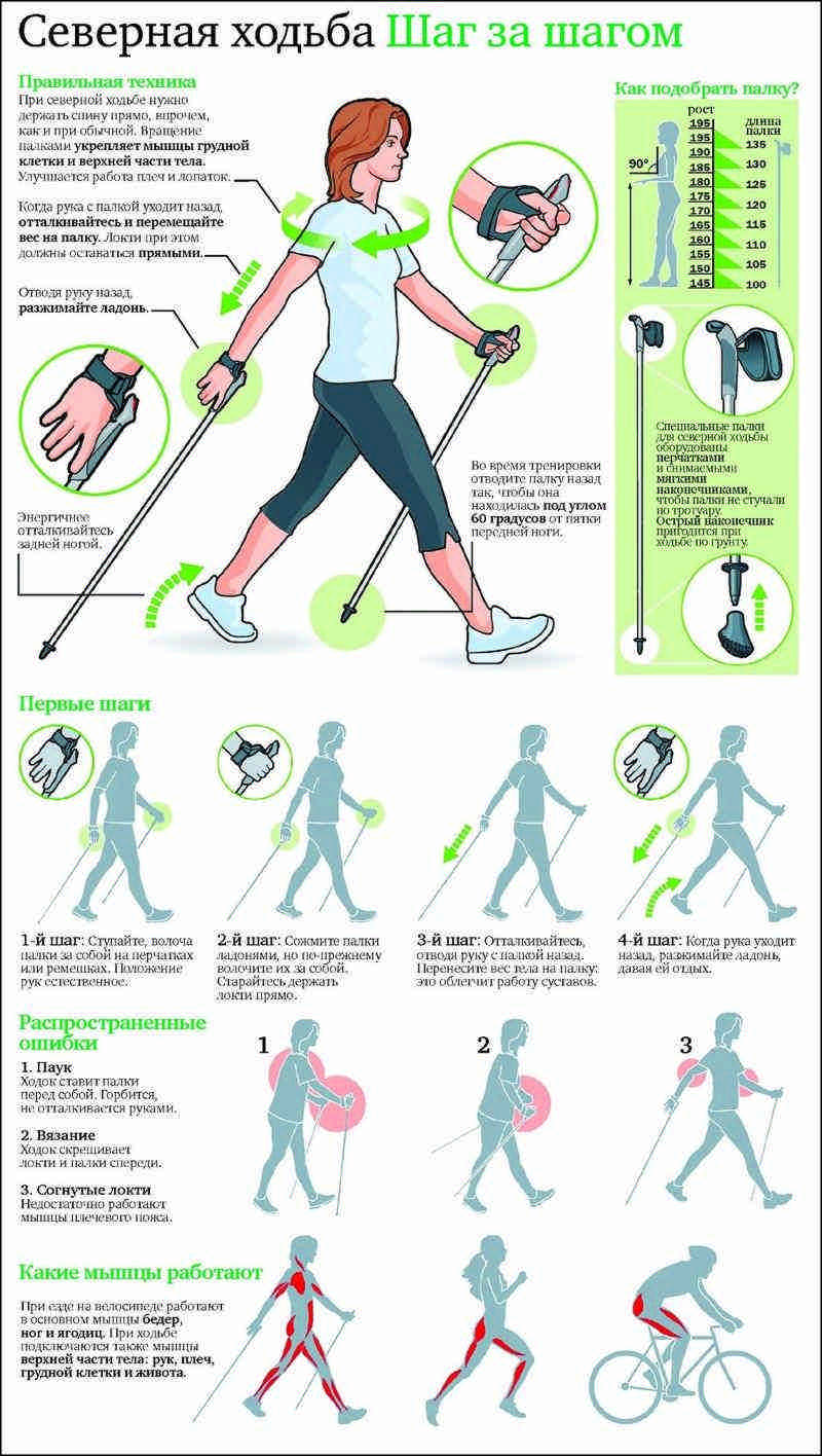 Презентация на тему скандинавская ходьба