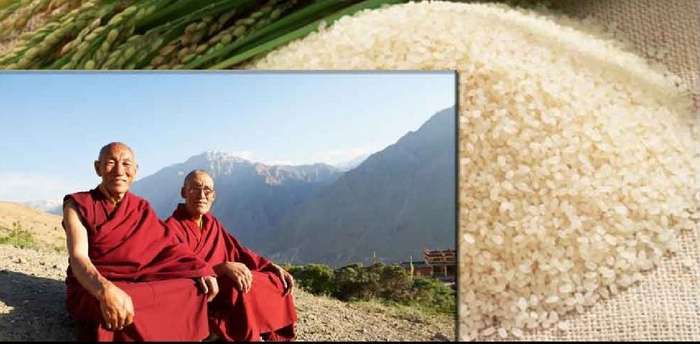Секреты долголетия тибетских лам
