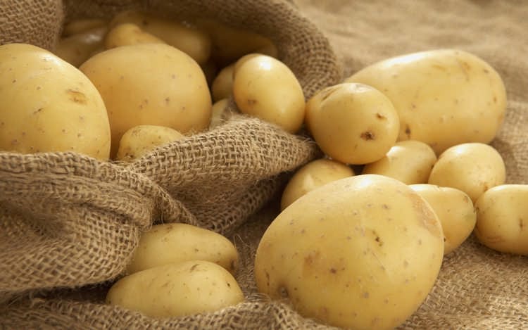 какие сидераты лучше сеять после картофеля