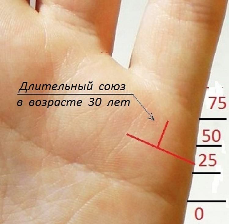 Какие линии на руке показывают количество детей у женщины фото